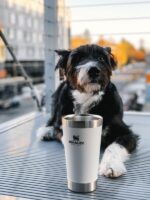 STANLEY Termosklenka The Stacking Tumbler 470 ml polární bílá